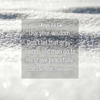 Picture 04 - 1 Kings 2:6 GW - Use your wisdom. Don’t let that gray-haired, - Bible Verse Picture
