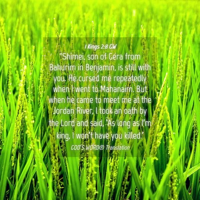 Picture 04 - 1 Kings 2:8 GW - “Shimei, son of Gera from Bahurim in Benjamin, - Bible Verse Picture