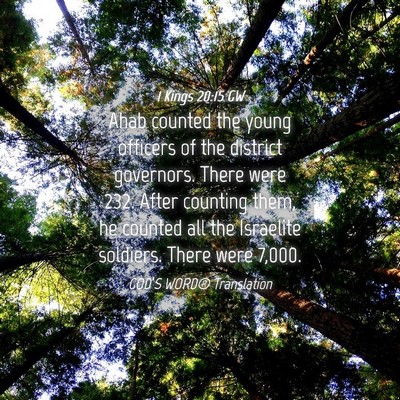 Picture 04 - 1 Kings 20:15 GW - Ahab counted the young officers of the district - Bible Verse Picture