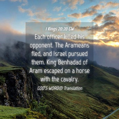 Picture 04 - 1 Kings 20:20 GW - Each officer killed his opponent. The Arameans - Bible Verse Picture