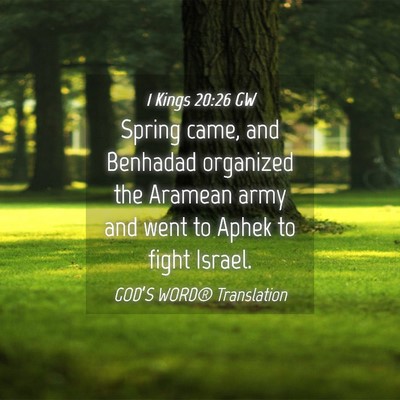 Picture 04 - 1 Kings 20:26 GW - Spring came, and Benhadad organized the Aramean - Bible Verse Picture