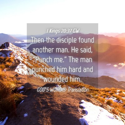 Picture 04 - 1 Kings 20:37 GW - Then the disciple found another man. He said, - Bible Verse Picture