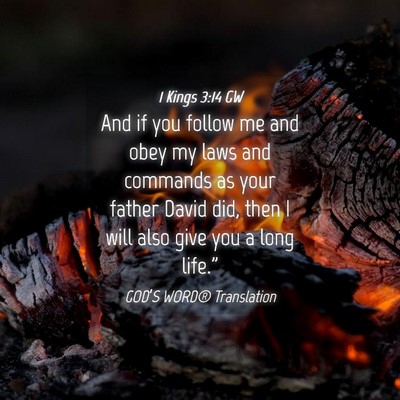 Picture 04 - 1 Kings 3:14 GW - And if you follow me and obey my laws and - Bible Verse Picture