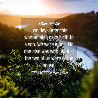 Picture 04 - 1 Kings 3:18 GW - Two days later this woman also gave birth to a - Bible Verse Picture