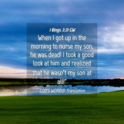 Picture 04 - 1 Kings 3:21 GW - When I got up in the morning to nurse my son, he - Bible Verse Picture