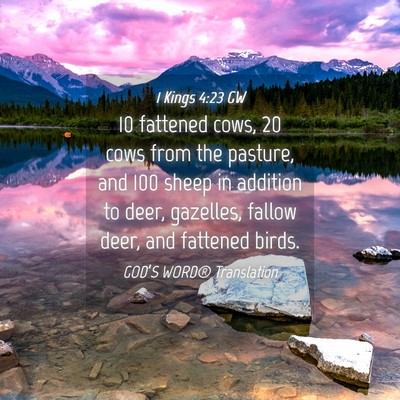 Picture 04 - 1 Kings 4:23 GW - 10 fattened cows, 20 cows from the pasture, and - Bible Verse Picture