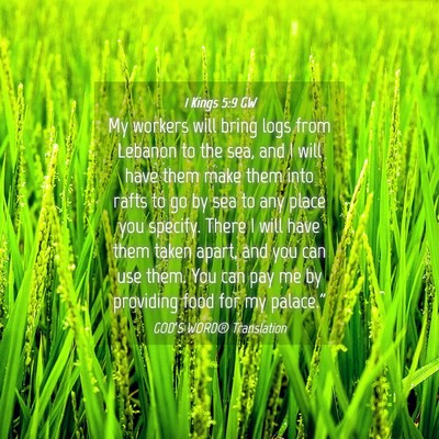 Picture 04 - 1 Kings 5:9 GW - My workers will bring logs from Lebanon to the - Bible Verse Picture