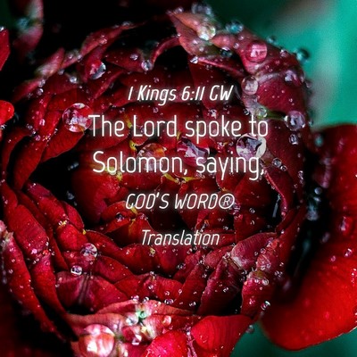 Picture 04 - 1 Kings 6:11 GW - The Lord spoke to Solomon, - Bible Verse Picture