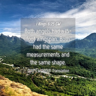 Picture 04 - 1 Kings 6:25 GW - Both angels had a 15-foot wingspan. Both had the - Bible Verse Picture