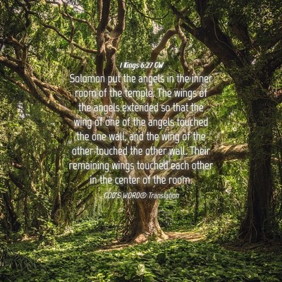 Picture 04 - 1 Kings 6:27 GW - Solomon put the angels in the inner room of the - Bible Verse Picture