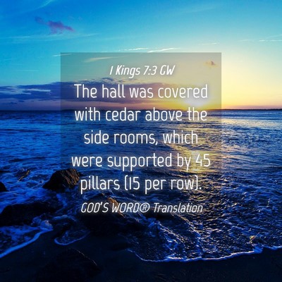Picture 04 - 1 Kings 7:3 GW - The hall was covered with cedar above the side - Bible Verse Picture