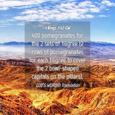 Picture 04 - 1 Kings 7:42 GW - 400 pomegranates for the 2 sets of filigree (2 - Bible Verse Picture