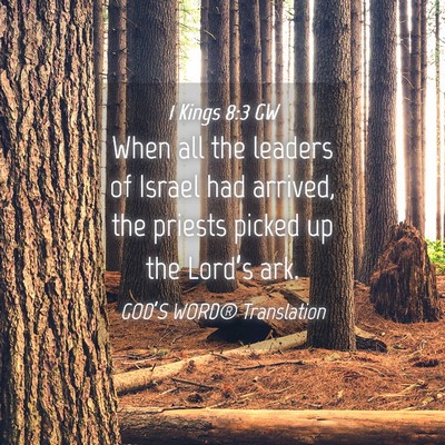 Picture 04 - 1 Kings 8:3 GW - When all the leaders of Israel had arrived, the - Bible Verse Picture