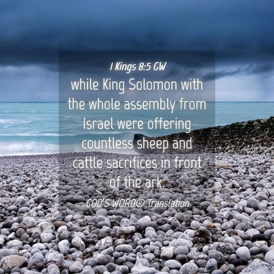 Picture 04 - 1 Kings 8:5 GW - while King Solomon with the whole assembly from - Bible Verse Picture