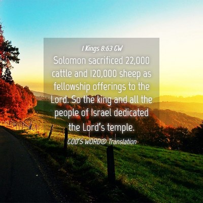 Picture 04 - 1 Kings 8:63 GW - Solomon sacrificed 22,000 cattle and 120,000 - Bible Verse Picture