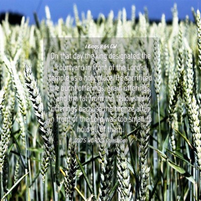 Picture 04 - 1 Kings 8:64 GW - On that day the king designated the courtyard in - Bible Verse Picture