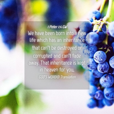 Picture 04 - 1 Peter 1:4 GW - We have been born into a new life which has an - Bible Verse Picture