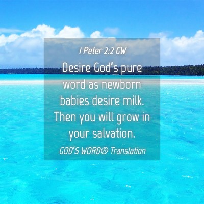 Picture 04 - 1 Peter 2:2 GW - Desire God’s pure word as newborn babies desire - Bible Verse Picture