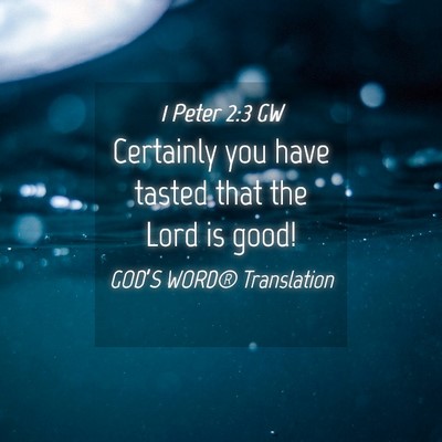 Picture 04 - 1 Peter 2:3 GW - Certainly you have tasted that the Lord is - Bible Verse Picture