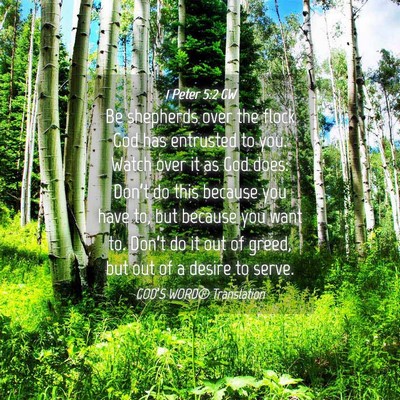 Picture 04 - 1 Peter 5:2 GW - Be shepherds over the flock God has entrusted to - Bible Verse Picture