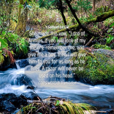 Picture 04 - 1 Samuel 1:11 GW - She made this vow, “Lord of Armies, if you will - Bible Verse Picture