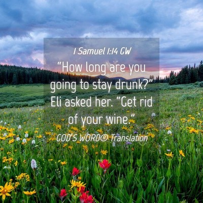 Picture 04 - 1 Samuel 1:14 GW - “How long are you going to stay drunk?” Eli - Bible Verse Picture