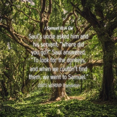 Picture 04 - 1 Samuel 10:14 GW - Saul’s uncle asked him and his servant, - Bible Verse Picture