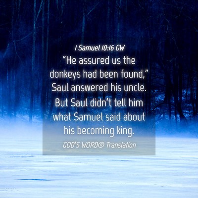 Picture 04 - 1 Samuel 10:16 GW - “He assured us the donkeys had been found,” - Bible Verse Picture