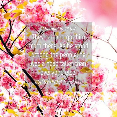 Picture 04 - 1 Samuel 10:23 GW - They ran and got him from there. As he stood - Bible Verse Picture