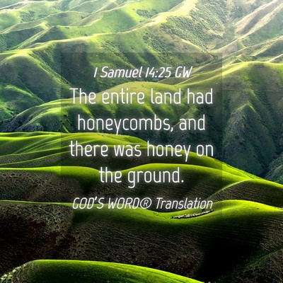 Picture 04 - 1 Samuel 14:25 GW - The entire land had honeycombs, and there was - Bible Verse Picture