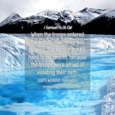 Picture 04 - 1 Samuel 14:26 GW - When the troops entered the woods, the honey was - Bible Verse Picture