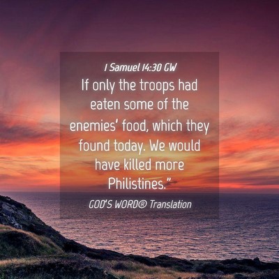 Picture 04 - 1 Samuel 14:30 GW - If only the troops had eaten some of the - Bible Verse Picture
