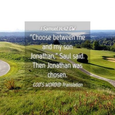 Picture 04 - 1 Samuel 14:42 GW - “Choose between me and my son Jonathan,” Saul - Bible Verse Picture