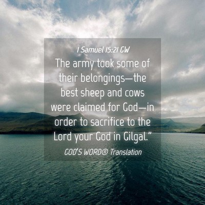 Picture 04 - 1 Samuel 15:21 GW - The army took some of their belongings—the best - Bible Verse Picture