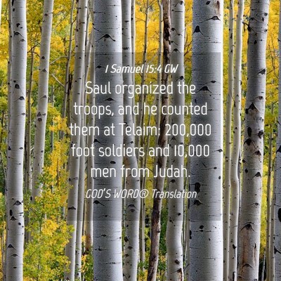 Picture 04 - 1 Samuel 15:4 GW - Saul organized the troops, and he counted them at - Bible Verse Picture