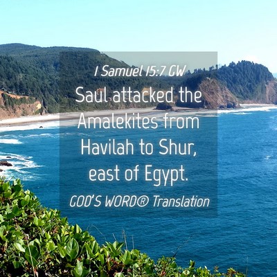 Picture 04 - 1 Samuel 15:7 GW - Saul attacked the Amalekites from Havilah to - Bible Verse Picture