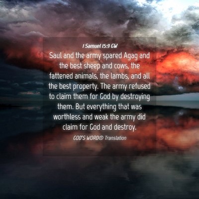 Picture 04 - 1 Samuel 15:9 GW - Saul and the army spared Agag and the best sheep - Bible Verse Picture