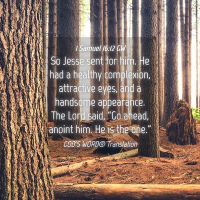 Picture 04 - 1 Samuel 16:12 GW - So Jesse sent for him. He had a healthy - Bible Verse Picture