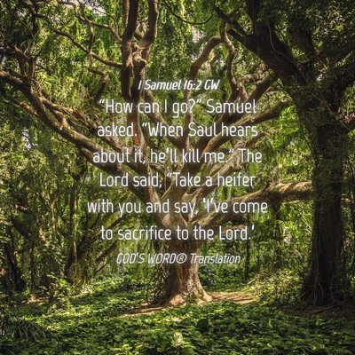 Picture 04 - 1 Samuel 16:2 GW - “How can I go?” Samuel asked. “When Saul - Bible Verse Picture