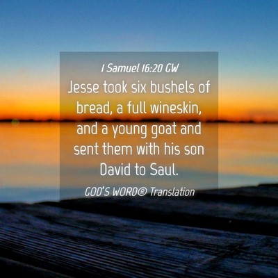 Picture 04 - 1 Samuel 16:20 GW - Jesse took six bushels of bread, a full wineskin, - Bible Verse Picture