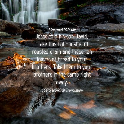Picture 04 - 1 Samuel 17:17 GW - Jesse told his son David, “Take this - Bible Verse Picture