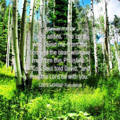 Picture 04 - 1 Samuel 17:37 GW - David added, “The Lord, who saved me from the - Bible Verse Picture