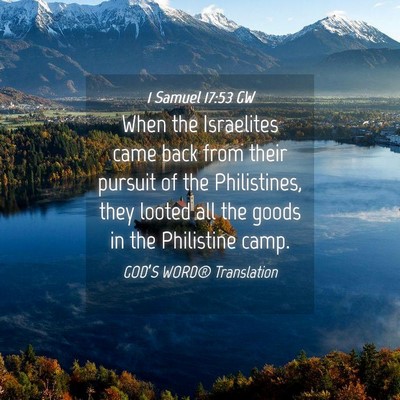 Picture 04 - 1 Samuel 17:53 GW - When the Israelites came back from their pursuit - Bible Verse Picture