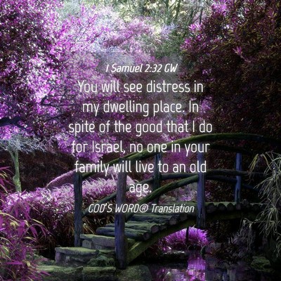 Picture 04 - 1 Samuel 2:32 GW - You will see distress in my dwelling place. In - Bible Verse Picture