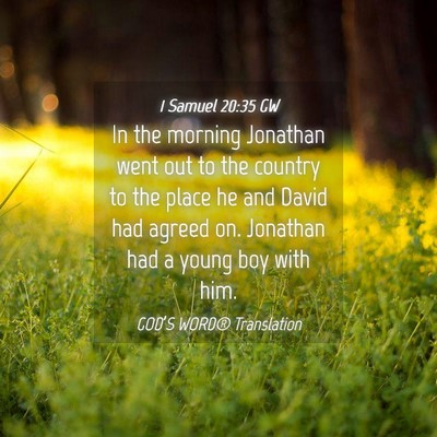 Picture 04 - 1 Samuel 20:35 GW - In the morning Jonathan went out to the country - Bible Verse Picture