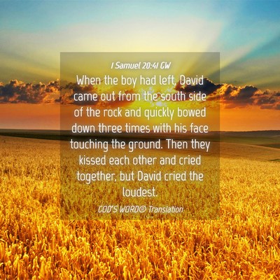 Picture 04 - 1 Samuel 20:41 GW - When the boy had left, David came out from the - Bible Verse Picture