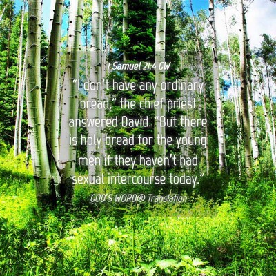 Picture 04 - 1 Samuel 21:4 GW - “I don’t have any ordinary bread,” the - Bible Verse Picture