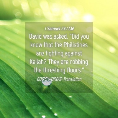 Picture 04 - 1 Samuel 23:1 GW - David was asked, “Did you know that the - Bible Verse Picture