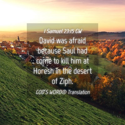 Picture 04 - 1 Samuel 23:15 GW - David was afraid because Saul had come to kill - Bible Verse Picture