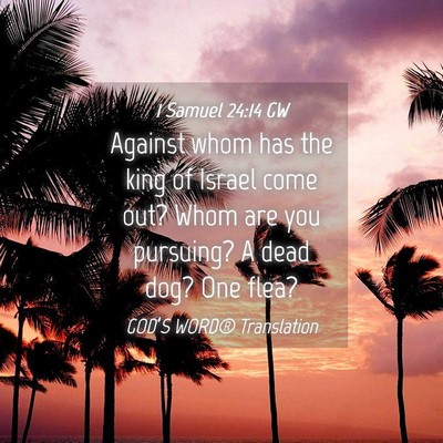 Picture 04 - 1 Samuel 24:14 GW - Against whom has the king of Israel come out? - Bible Verse Picture